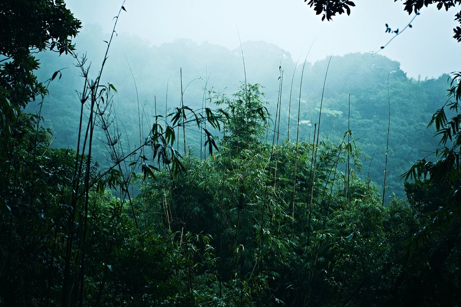 《突然》系列・山嵐，2012